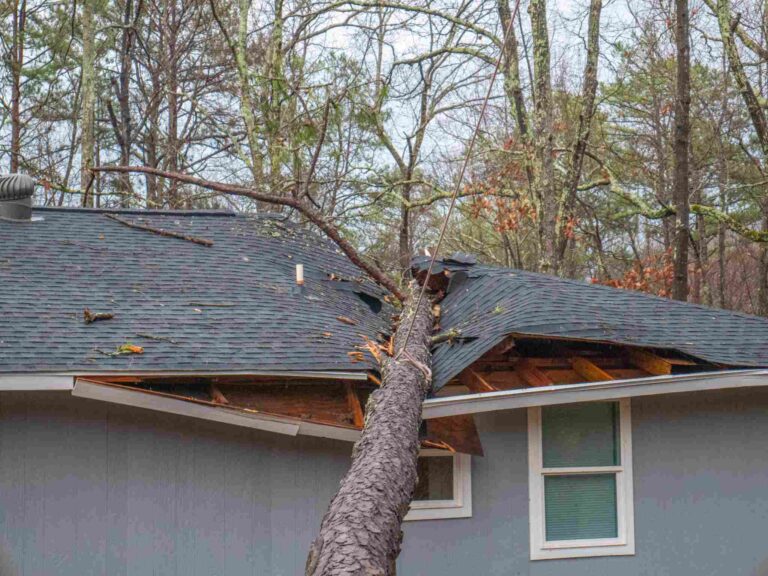 Storm-damaged home with large tree fallen through roof causing structural and water damage, requiring emergency storm damage restoration and roof repair services in Mobile, AL by Paul Davis Restoration.